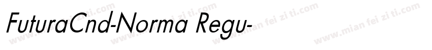 FuturaCnd-Norma Regu字体转换